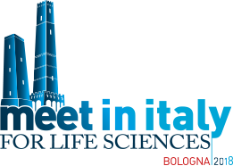 Meet In Italy Logo