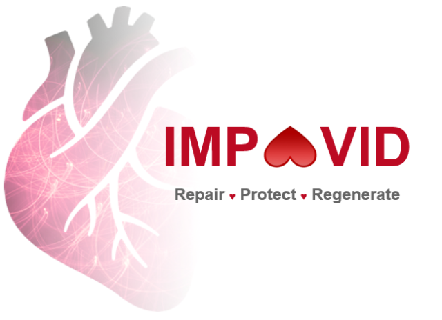 IMPAVID Logo